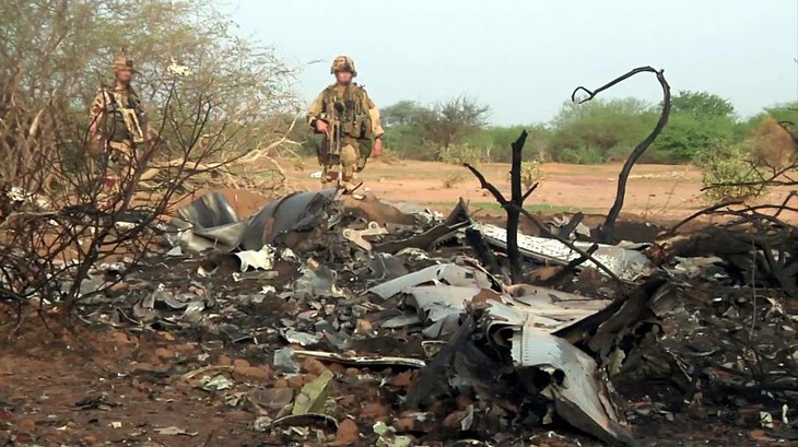 Crash d’avion d’Air Algérie : La deuxième boîte noire a été retrouvée au Mali - ảnh 1